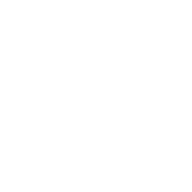 Quality Check icon